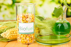 Little Bosullow biofuel availability